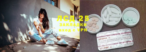 крисы Верея
